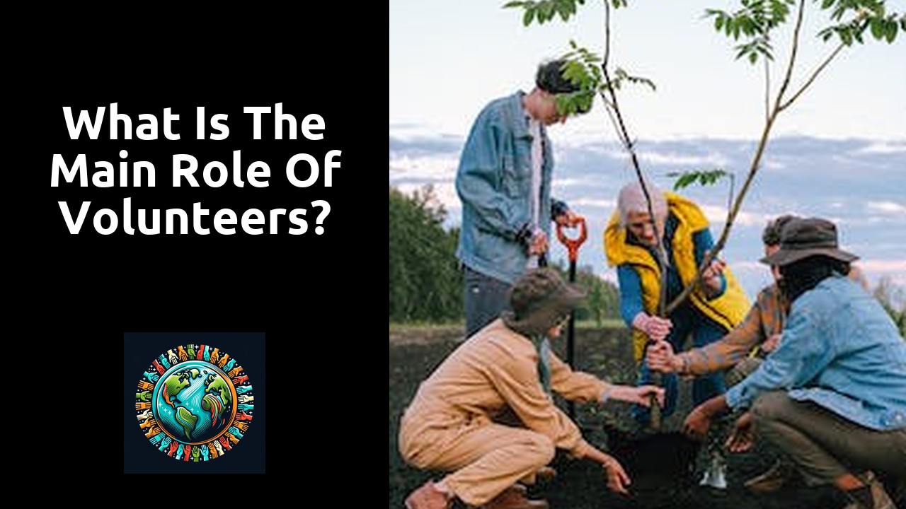 What is the main role of volunteers?